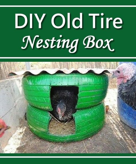 DIY Old Tire Nesting Box Tire Nesting Boxes, Chicken Dust Bath, Homestead Lifestyle, Duck Stuff, Reuse Old Tires, Tire Swings, Nest Boxes, Chicken Poop, Clean Chicken