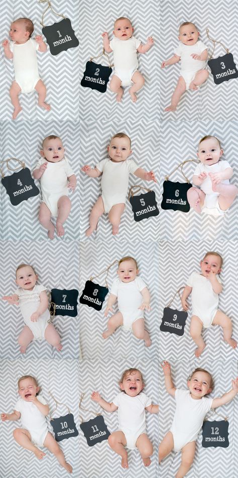 reese months 1-12 collage document the baby months Month Photos, Monthly Pictures, Monthly Baby Pictures, Baby Milestone Photos, Baby Fotografie, Monthly Baby Photos, By The Numbers, Baby Monthly Milestones, Baby Growth