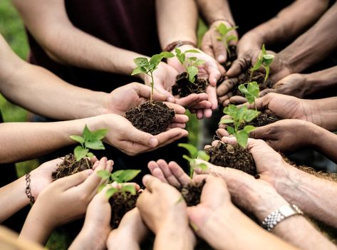 environmental nonprofits organizations | Green Dreamer Podcast on Sustainability and Regeneration Earth Shoes, Environmental Conservation, Photo Grouping, Tree Service, Lush Green, Earth Day, Aerial View, Farmers Market, Trees To Plant