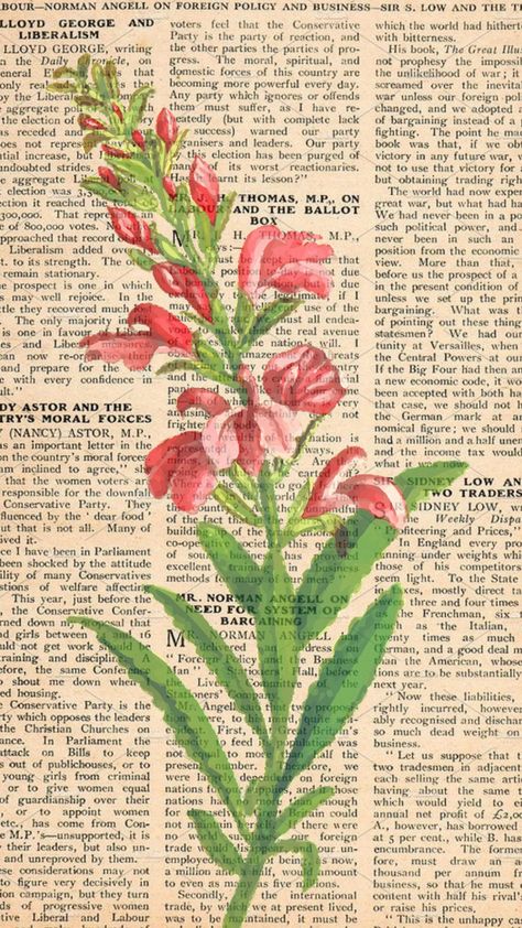 floral newspaper Pink Newspaper, Sketchbook Nature, Pretty Posters, Desktop Wallpaper Fall, Printable Wall Collage, Art Final, Wallpaper Fall, Gcse Art Sketchbook, Gcse Art