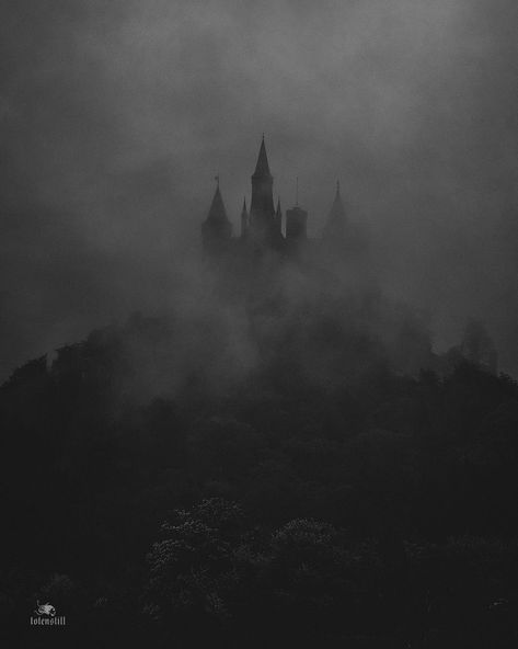 Gothic Castle Aesthetic, Victorian Gothic Aesthetic, Vampire Castle, Dark Windows, Medieval Aesthetic, Ball Aesthetic, Dark Castle, Gothic Castle, Black Castle