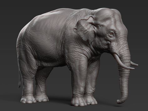 ArtStation - Asian Elephant Elephant Anatomy, Male Energy, Tiger Species, Goddess Parvati, Elephant Game, Cosmic Dance, Buddhist Art Drawing, Elephant Carving, Elephants Photos