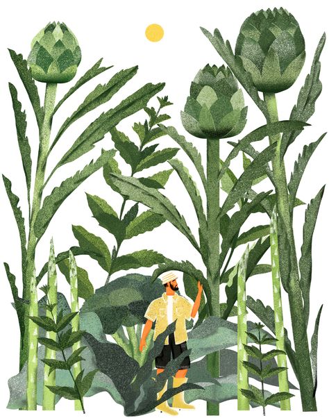 Artichokes on Behance Artichoke Illustration, Drawing Bag, Plant Illustration, Artichoke, Art Fair, Illustrations Posters, Graphic Design Illustration, Textile Design, Design Illustration