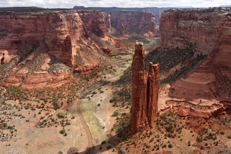 Arizona's Navajo Nation Has Officially Reopened For Tourism Canyon De Chelly, Grand Falls, Alpine Forest, Shirakawa Go, Whatever Forever, Petrified Forest National Park, Hampi, Bagan, Road Trip Fun