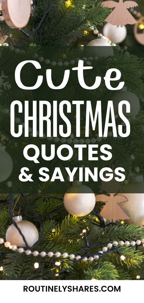 Decorated Tree with the words cute Christmas quotes and sayings Waiting For Christmas Quotes, Christmas Day Quotes Beautiful, Its Christmas Time Quotes, Beach Christmas Quotes, Dr Seuss Christmas Quotes, Christmas Through The Eyes Of A Child, Christmas Eve Sayings And Quotes, Christmas Ornament Quotes, Vintage Christmas Quotes