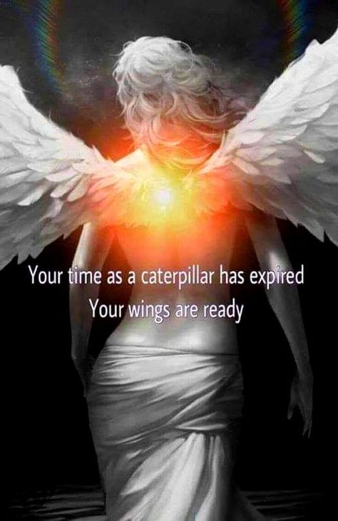 Angel Guidance, Angels Among Us, Angel Messages, Angel Cards, Spiritual Guidance, Spiritual Healing, Empath, Look At You, Divine Feminine