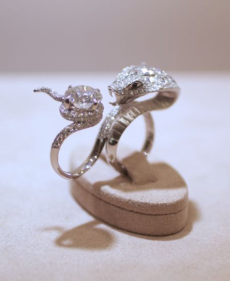 "The Temptation of Eve" by Stephen Webster - Couture Design Award winner for Diamond Jewelry over 20K. I've seen this ring before but never this picture. Stunning. Slytherin Woman, Couture Design, Stephen Webster, Snake Jewelry, Harry Winston, Discount Jewelry, Jewelry Show, Couture Jewelry, Gorgeous Jewelry