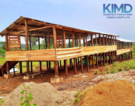 This structure can accommodate 300goats. If interested in watching our work please come and watch our video content on our YouTube channel. Goat Structures, Cattle Housing, Sheep House, Animal Farming, Farm Management, Aqua Farm, Goat Shed, Goat Shelter, Goat Pen