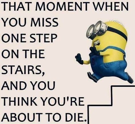 Funny Minion Pictures, Funny Minion Memes, Minion Pictures, Minion Jokes, Minions Love, A Minion, Funny Minion Quotes, Minion Quotes, Quote Of The Week