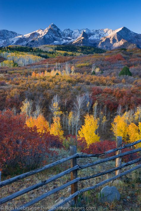 Autumn colors, Dallas Divide, Colorado. Colorado Prints, San Juan Mountains Colorado, Colorado Aesthetic, Colorado Photos, Gunnison National Park, Mountains Colorado, Colorado Fall, Crested Butte Colorado, Colorado Photography