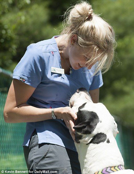 Animal Care Specialist Natlie Parker plays with one of the rescue dogs <3 Dog Rescue Aesthetic, Animal Rescue Aesthetic, Rescue Animals, Animal Shelter Volunteer Aesthetic, Animal Rescue Shirt Ideas, Animal Rescue Volunteer, Animal Rescue Sanctuary, Wolf Pictures, Rescue Dogs