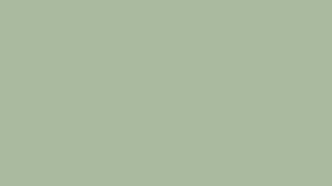 Laurel Green Solid Color Background Image | Free Image Generator Mint Green, Mint, Paint, Green