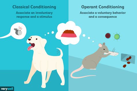 Classical Conditioning Psychology, Aba Training, Classical Conditioning, Classical Guitar Lessons, Teaching Psychology, Operant Conditioning, Animal Studies, Cognitive Psychology, Evolutionary Biology