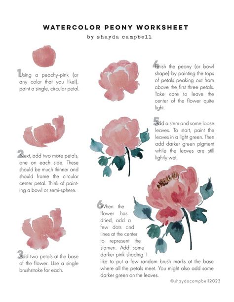 Peony Watercolor Worksheet | Patreon Watercolour Peony Tutorial, Simple Peony Painting, Easy Watercolor Peony, Easy Peony Painting, Peony Flower Watercolor, Watercolor Peony Tutorial, Watercolor Peony Tutorial Step By Step, How To Paint A Peony, How To Draw A Peony