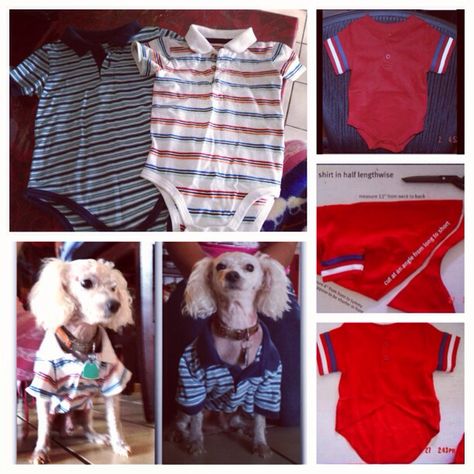 DIY dog shirt out of a baby shirt ! Easy and fast less than 5 minutes ! Dog Clothes Patterns Sewing, Yorkie Clothes, Dog Patterns, Dog Clothes Diy, Teacup Yorkie, Dog Clothes Patterns, Yorkie Dogs, Dog Clothing, Old Shirts