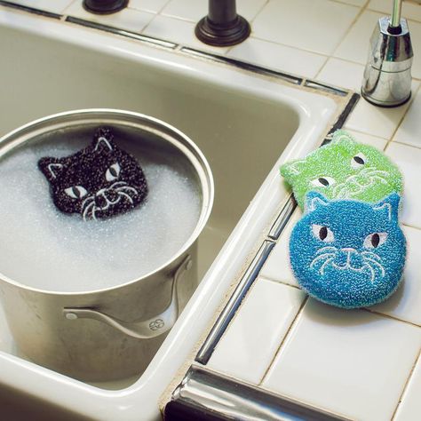 Morning Cat, Tom Y Jerry, Scrub Sponge, Kitchen Sponge, Cat Cafe, Cat Themed, Unique Cats, Kitchen Themes, Cat Decor