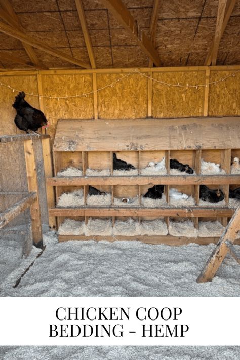 Chicken Coop Bedding - Hemp - Chicken Coop Bedding, Chicken Coop Designs Diy, Brooder Box, Easy Chicken Coop, Chicken Shed, Duck Farming, Horse Bedding, Chicken Nesting Boxes, Chicken Coop Designs