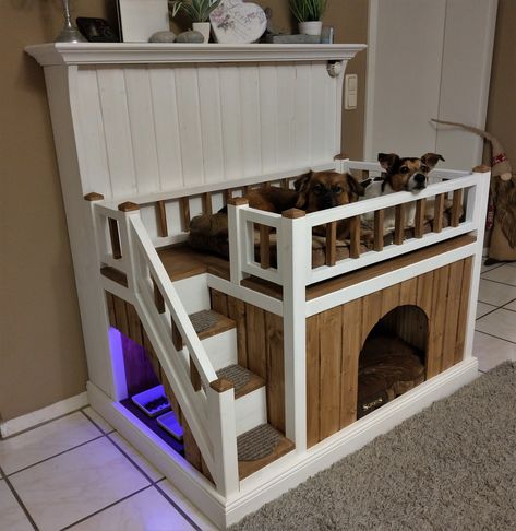 Dog House Inside, Dog Bunk Beds, Rabbit Habitat, Pallet Dog Beds, Dog Bedroom, Cat Bedroom, Puppy Room, Girl Apartment Decor, Indoor Dog House