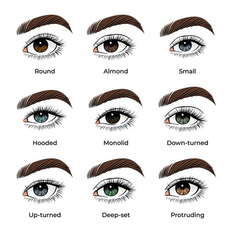 How to Apply Eyeshadow like a Pro: From Everyday to Glam with Expert Guide Makeup Names, Makeup Tips Eyeshadow, Eyeshadow Styles, Natural Eye Makeup Tutorial, Under Eye Makeup, Eye Makeup Application, Silver Eyeshadow, Deep Set Eyes, Cute Eyeshadow Looks