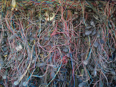 Wires Aesthetic, Wire Aesthetic, Complexity Theory, Cables And Wires, Wires And Cables, Radio Shack, Itunes Gift Cards, Complex Systems, Google Play Store