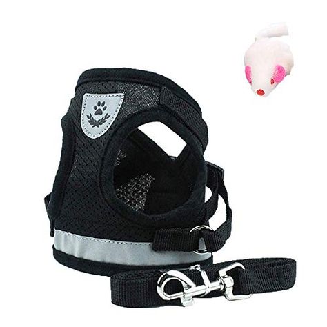 Luna Pets Cat Harness and Leash Set for Walking, Escape Proof Soft Adjustable Vest Harnesses for Cats Or Dogs, Easy C... Reflective Dog Harness, Travel Pet, Dogs Stuff, Walking Harness, Cat Summer, Puppy Harness, Mini Poodles, Dog Vest Harness, Cat Harness