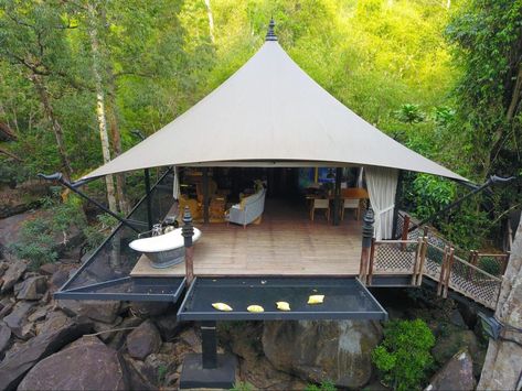 Tented Camp, Tent Design Ideas, Shinta Mani Wild, Hotels In Forest, Forest Hotel Resorts, Glamping Safari Tent, Tent Resort Luxury Camping, Tents Camping Glamping, Tent Platform