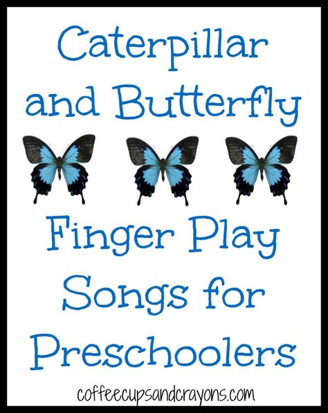 Caterpillar and Butterfly Finger Play Songs from Coffee Cups and Crayons Finger Play Songs, Caterpillar And Butterfly, Songs For Preschoolers, Songs For Preschool, Caterpillar Butterfly, Kindness For Kids, Butterfly Songs, Insects Preschool, Butterflies Activities