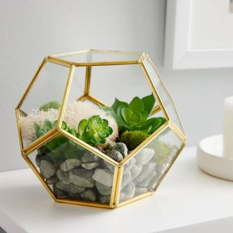 Succulents Colorful, Gold Terrarium, Beautiful Succulents, Terrarium Centerpiece, Geometric Planter, Glass Cylinder Vases, Geometric Terrarium, Glass Planter, Octagon Shape