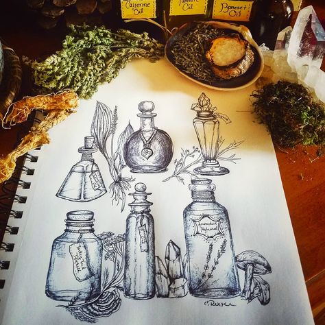 ✨🌿Herbal Potions🌿✨ . Got a little inspired on this hot and humid afternoon. There is something about opening, taking a deep breath and… Apothecary Tattoo, Herbal Potions, Potion Tattoo, Victorian Horror, Horror Sleeve, Herbal Tattoo, Moon Mushroom, Mushroom Tattoo, Bottle Tattoo