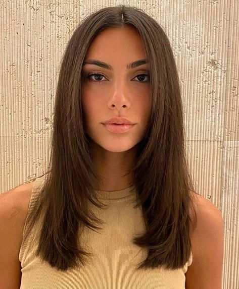 Layered Haircuts Straight, Brown Hair Cuts, Brunette Hair Cuts, Brown Straight Hair, Brown Hair Looks, Straight Hair Cuts, Brown Hair Inspo, Layered Haircuts For Medium Hair, Haircut Inspo