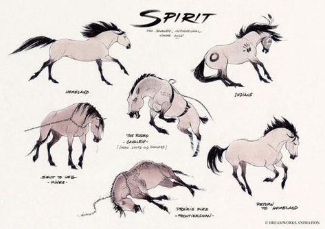 Spirit Horse Movie, Brother And Sister Tattoo Ideas, Herd Of Horses, Kiger Mustang, Disney Horses, Spirit Stallion Of The Cimarron, Spirit And Rain, Spirit The Horse, Horse Animation