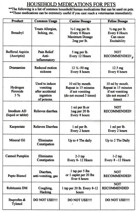 Over-the-counter household medications for pets chart. Very helpful, especially the hydrogen peroxide in case Georgie ingests something he shouldn't! Medicine Safe For Dogs, Lou Dog, Meds For Dogs, Petit Basset Griffon Vendeen, Medication For Dogs, Flea Control, Fu Dog, Dog Info, Pet Hacks