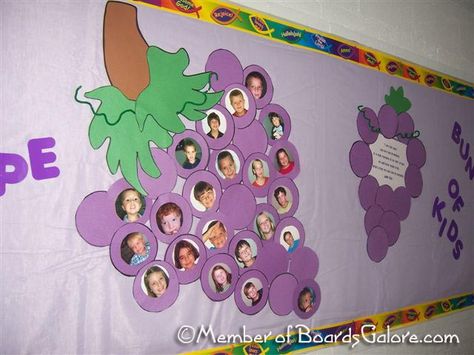 A Grape bunch of Students Preschool September, Kids Bulletin Boards, Sabbath School, Purple Day, Church Bulletin Boards, Back To School Bulletin Boards, Grape Harvesting, Church Bulletin, Church Activities