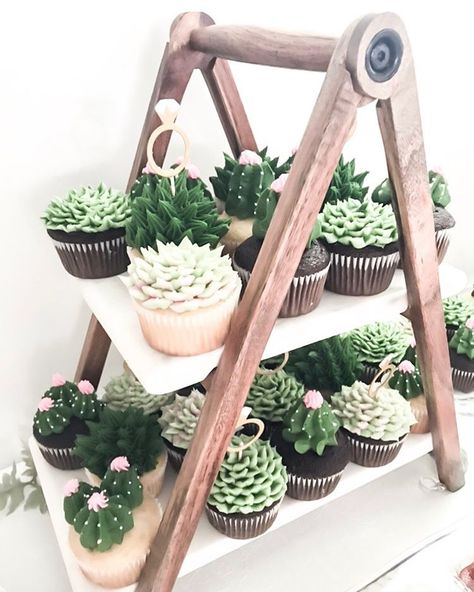 Bridal shower + cupcakes + wedding decor + desserts + boho theme + succulents Boho Graduation Party Ideas, Succulent Wedding Cakes, Succulent Cupcakes, Succulent Theme, Succulent Cake, Bridal Shower Cupcakes, Cupcakes Wedding, Fiesta Tropical, Green Baby Shower