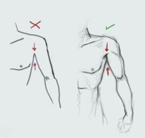 Chest-shoulder-arm proportions Drawing Hands, Drawing Eyes, Drawing Hair, Drawing Faces, Poses References, Anatomy Drawing, Ink Drawings, Digital Painting Tutorials, Guided Drawing