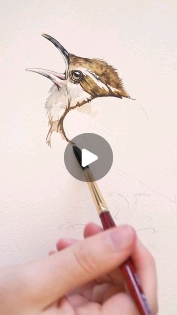 Kiley Busko on Instagram: "Watercolor Wren painting" Wren Painting, Wren, Art Painting, On Instagram, Instagram, Art