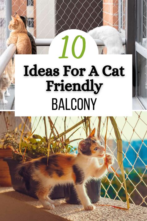 Creating a cat friendly balcony is about combining fun and safety. After all, if you’re anywhere above the first floor, the last thing you want is for your cat to be able to escape. So, let’s look at 10 cat friendly balcony ideas to keep your pet entertained (and safe). Balcony Cat Enclosure, Cat Balcony Ideas, Cat Friendly Balcony, Cat Proof Balcony, Balcony Diy, Cat Apartment, Cat Paradise, Cat Fence, Cat Patio