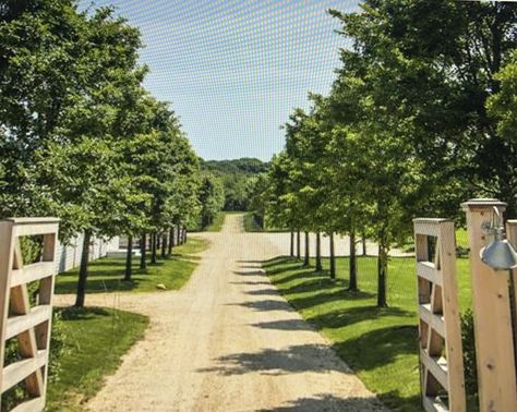 Lined Driveway, Entrance Landscaping, Driveway Entrance Landscaping, Farm Entrance, Tree Lined Driveway, Farm Gate, Driveway Entrance, Farm Layout, Long Driveways