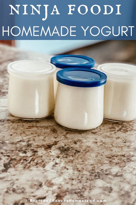 Ninja Foodi Yogurt, Homemade Yogurt Recipes, Ninja Cooking System, Diy Yogurt, Food From Scratch, Ninja Cooking System Recipes, Make Your Own Yogurt, Make Greek Yogurt, Homemade Granola Healthy