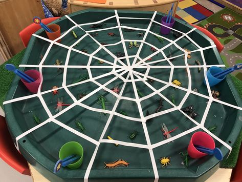 Minibeasts Eyfs, Minibeasts Activities, Tuff Tray Ideas Toddlers, The Very Busy Spider, Spider Activities, Eyfs Ideas, Finger Gym, Nursery Rhymes Activities, Cognitive Activities