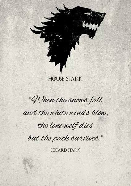 House Stark - The Pack Survives Game Of Thrones Tattoo, Bookshelf Door, Game Of Thrones Party, A Game Of Thrones, The North Remembers, Got Game Of Thrones, Game Of Thrones Quotes, Fire And Blood, Game Of Thrones Funny