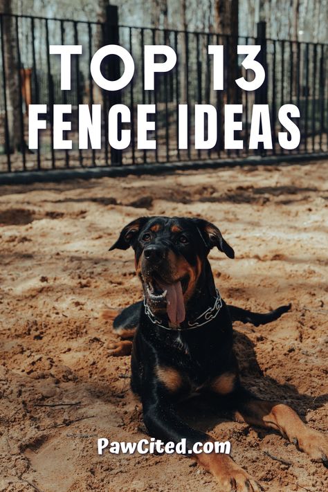 Large Dog Pens Outside, Dog Fences For Yard, Boundary Fence Ideas, Dog Fence Ideas Backyards, Dog Pen Ideas Outdoor, Cheap Fence Ideas For Dogs, Fence Ideas For Dogs, Dog Yard Ideas, Rv Dog Fence