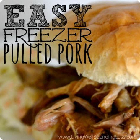 25 Delicious Freezer Meal Recipes (she: Mariah) - Or so she says... Slow Cooked Pulled Pork, Slow Cooker Freezer Meals, Crockpot Pulled Pork, Slow Cooker Pulled Pork, Pulled Pork Recipes, Crockpot Pork, Easy Pork, Freezer Cooking, Healthy Eating For Kids