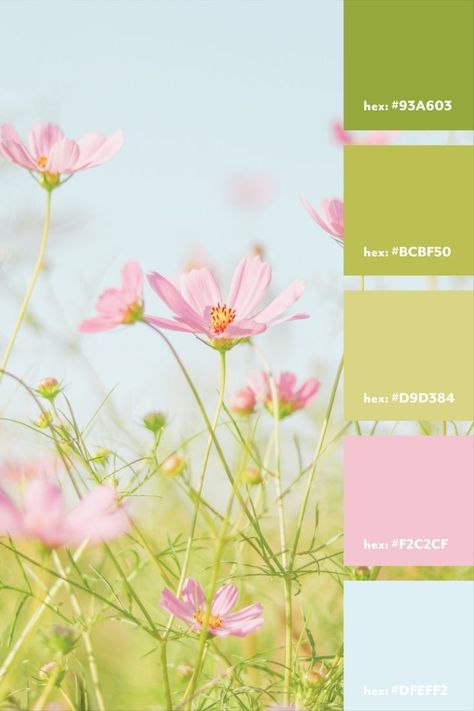 Pastel Pink Blue Green Palette, Green Summer Color Palette, Pastel Green And Pink Color Palette, Lime Green And Pink Aesthetic, Lime Green And Pink Color Palette, Pink Gold Green Color Palettes, Light Blue Pink Green Color Palette, Green Spring Color Palette, Pastel Nature Color Palette