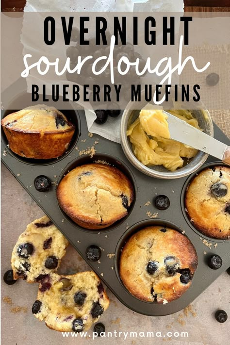 Blueberries Sauce, Sourdough Blueberry Muffins, The Pantry Mama, Pantry Mama, Sourdough Blueberry, Overnight Sourdough, Sourdough Muffins, Sourdough Cinnamon Rolls, Overnight Recipes