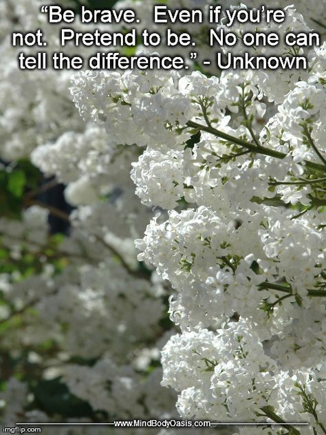 Lilac Pruning, White Lilacs, Lilac Tree, Moon Garden, Have Inspiration, White Gardens, Flowering Trees, Dream Garden, Love Flowers