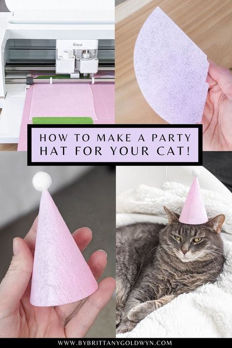 Diy Cat Birthday Hat, Cat Birthday Decorations Diy, Birthday Party For My Cat, Birthday Party For A Cat, Cat Birthday Photoshoot Ideas, Birthday Party For Cats Ideas, Birthday Party For Cat, Cat Birthday Party For Cats, Birthday Party For Cats