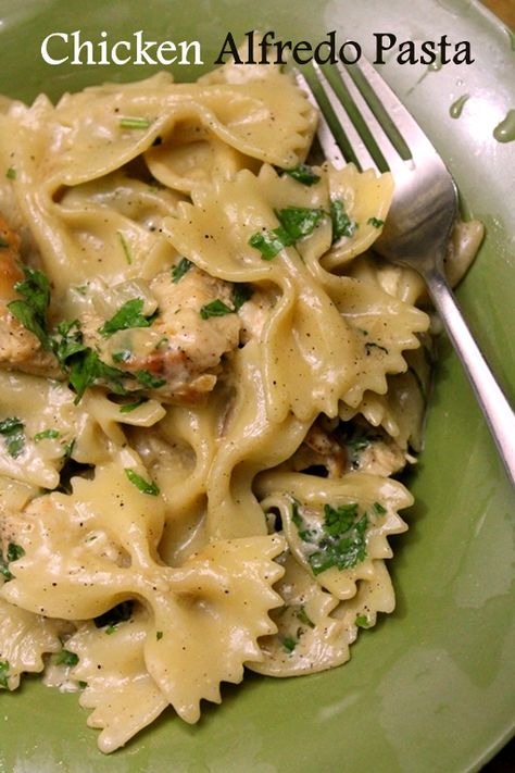 Bow Tie Chicken Alfredo, Bowtie Chicken Alfredo, Bow Pasta Recipes, Pasta Recipe Chicken, Chicken Bowtie Pasta, Pasta Indian Style Recipe, Bow Tie Pasta Recipe, Chicken Alfredo Recipe, Pasta Recipes Alfredo