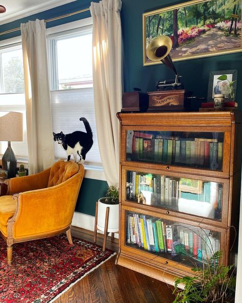 I think it’s safe to say that it’s a better view now 👀 [Image Description 1: the sunlight bounces through a dark green home library. An… | Instagram Barrister Bookcase Living Room, Barrister Bookcase Decor, Painted Barrister Bookcase, Vintage Eclectic Office, Cat Bookcase, Green Home Library, Eclectic Library, Vintage Bookshelves, Mid Century Library