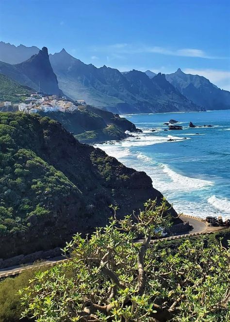 Tenerife, Canary Islands, Spain Tenerife Canary Islands Aesthetic, Canary Islands Aesthetic, Tenerife Aesthetic, Holiday Tenerife, Canarian Islands, Canary Islands Tenerife, Tenerife Canary Islands, Tenerife Spain, Spain Aesthetic